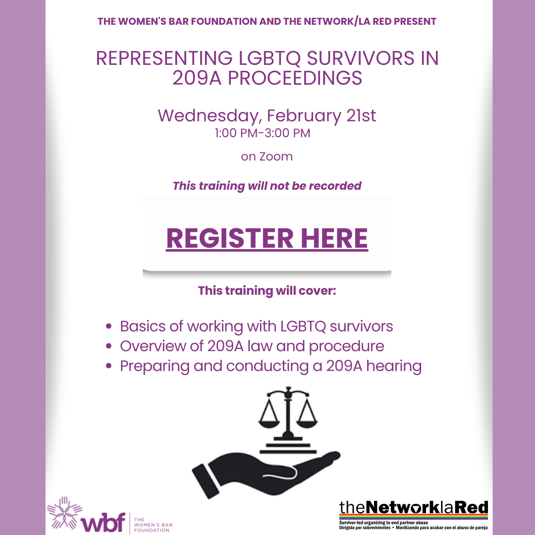 2024 Representing LGBTQ Survivors in 209A Proceedings training